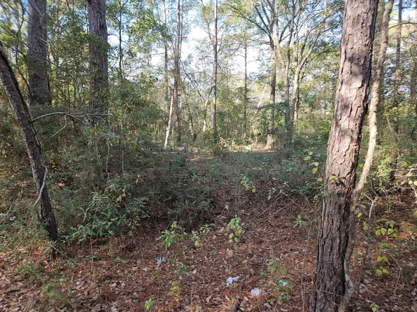 0 Pine Cone Ln Lot 10, Plantersville, TX 77363