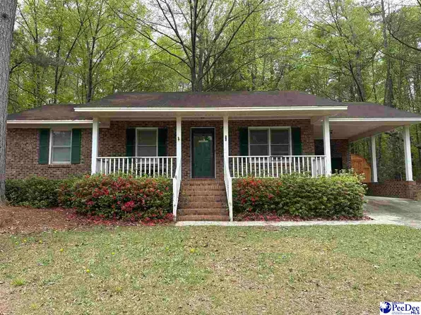 96 Dogwood Springs Rd, Bishopville, SC 29010