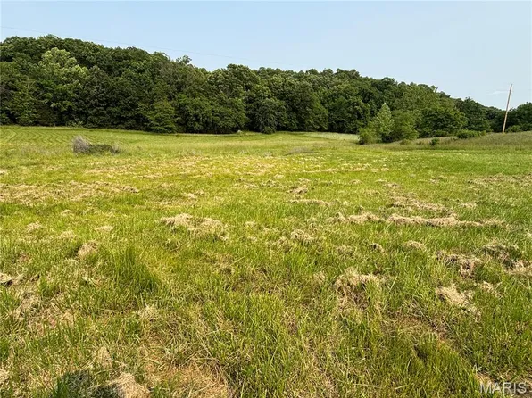 240 Big Creek Valley Dr, Troy, MO 63379