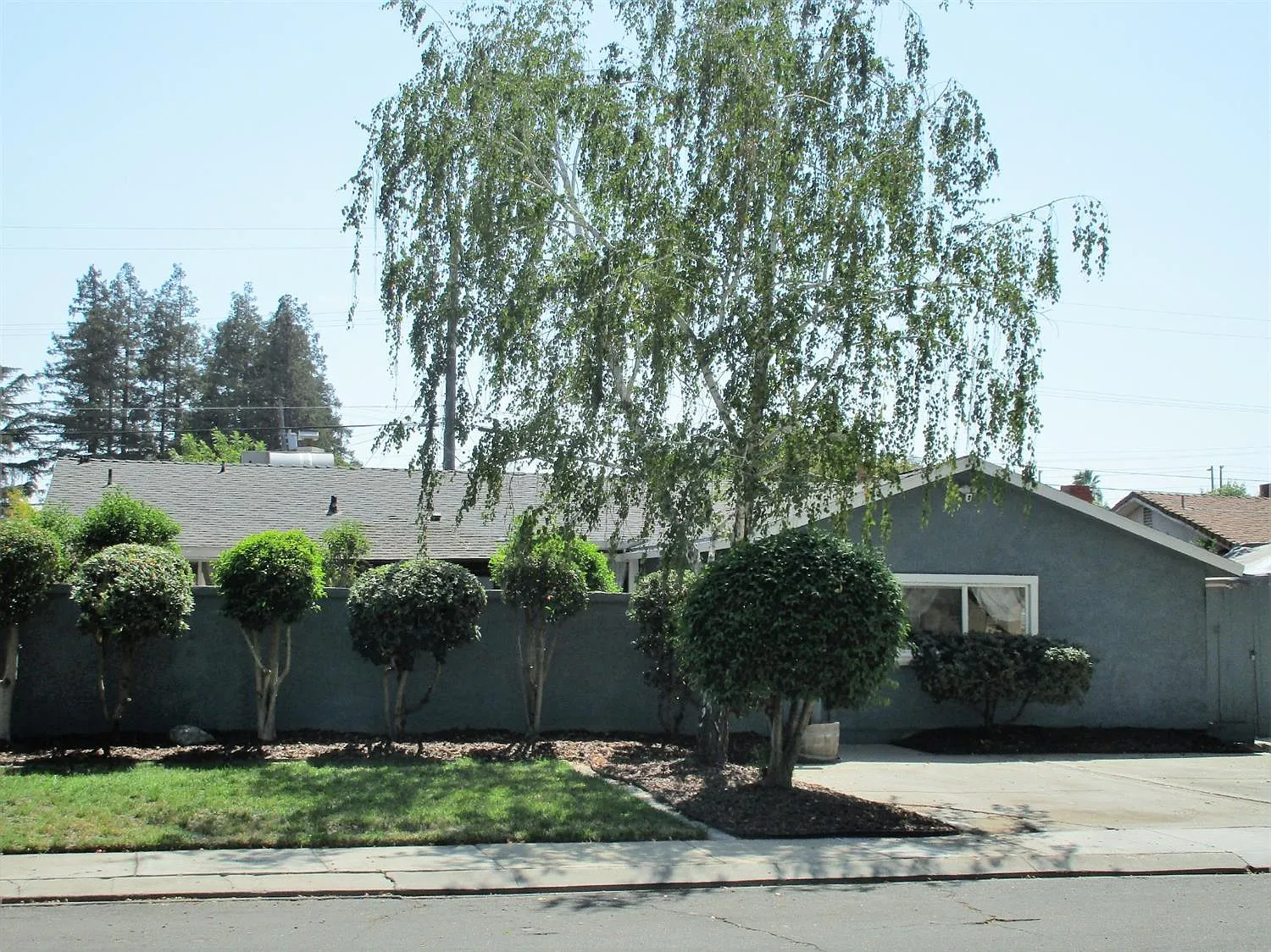 160 Ribier Ave photo 1