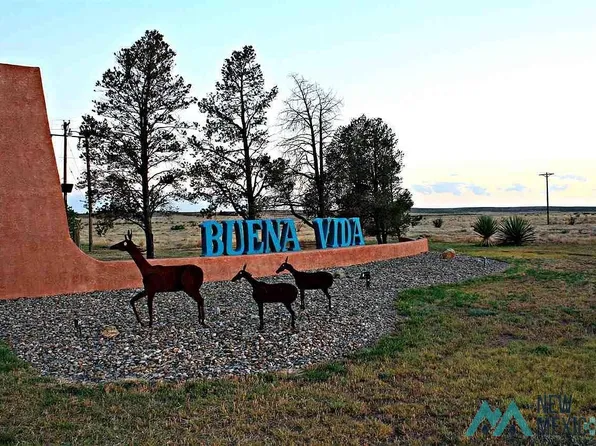 132 Mistico Ln, Roswell, NM 88203