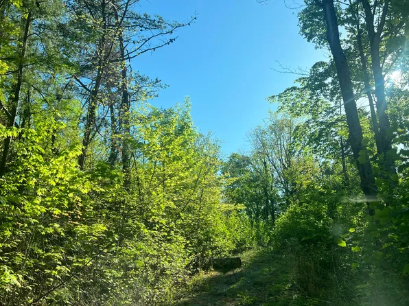 1030 Wiley Oakley Dr, Gatlinburg, TN 37738