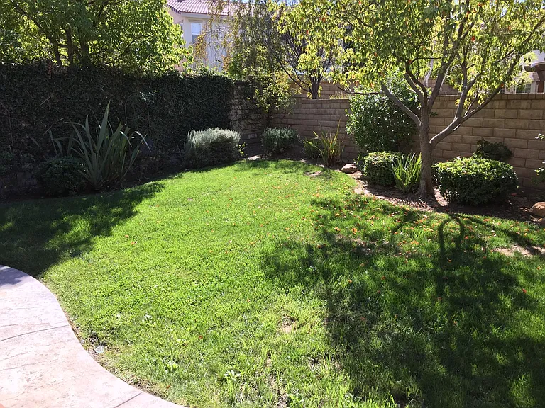 27929 Agapanthus Ln — Photo 23