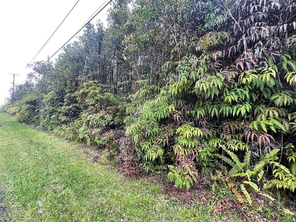 2nd image of Hibiscus St Lot 7601
