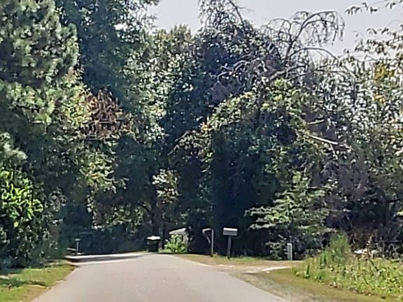 5th image of 160 Holden Rd