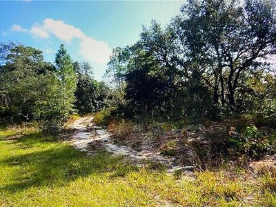 Lemon Dr, Lake wales, FL, 33898