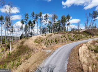 LOT 253 High River Xing, Ellijay, GA 30540
