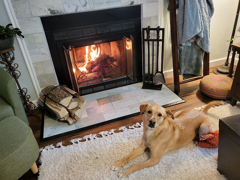 Shared livingroom w/fireplace. 
(Dog friendly home)
