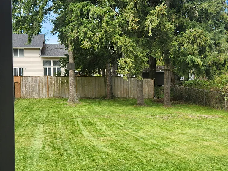 Backyard 1