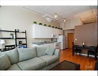 3rd image of 1601 S Michigan Ave APT 305
