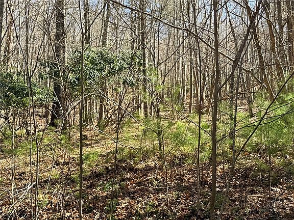 5th image of TBD Lot 19 Lost Trail
