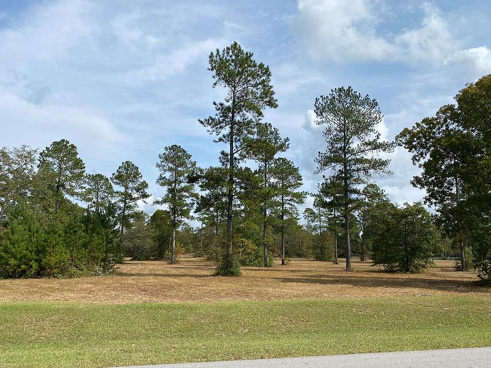 1st image of 58 Three Runs Plantation Dr