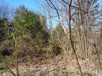 1-5375 Fred Marshall Rd, Russellville, TN, 37860