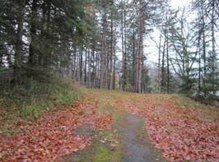 22 Lake St, Trumansburg, NY 14886