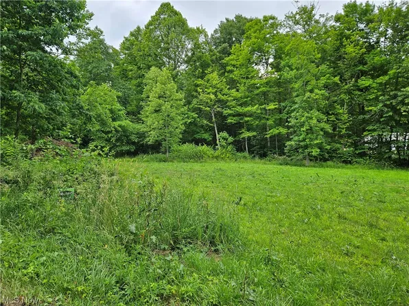 Baird Ave NE, Paris, OH 44669