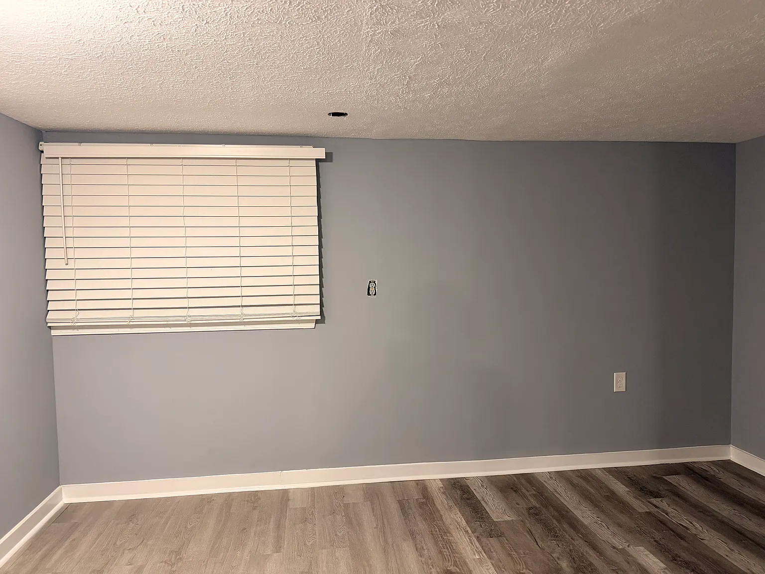 Studio, $1,000 — Photo 4