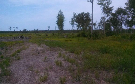 3rd image of 0 E Nc Highway 92