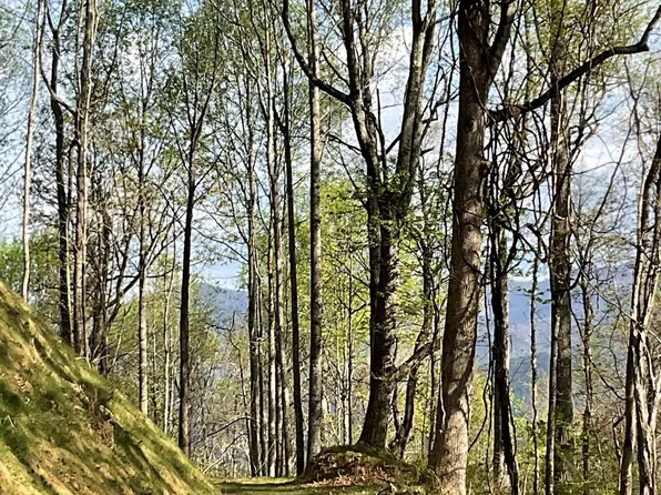 1414 Easy Wind Dr #56, Swannanoa, NC 28778