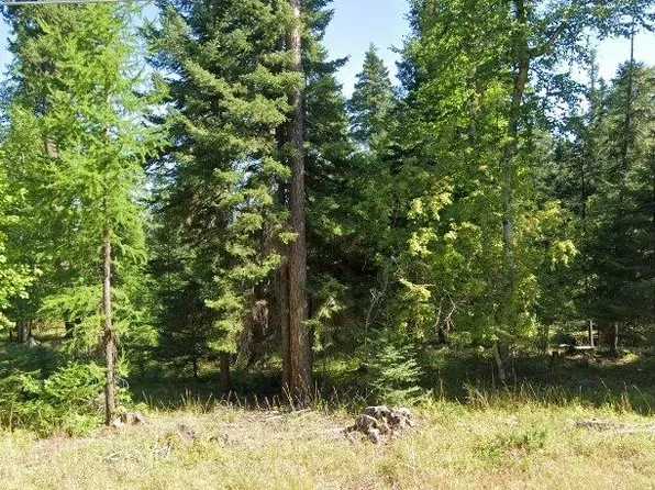 595 Wapiti Ln, Bigfork, MT 59911