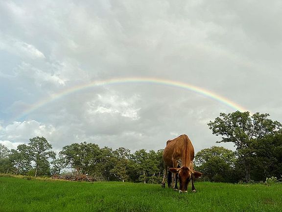 South eat pasture 