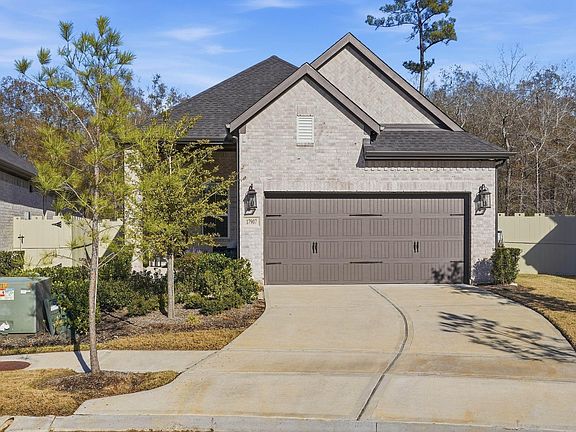 2nd image of 17907 Purple Amaranth