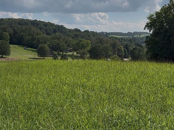 5th image of 0 Dickerson Run Rd
