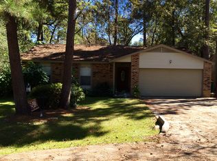 10 Basal Briar Ct, Spring, TX 77381