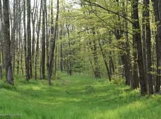 Route 307, Moscow, PA 18444