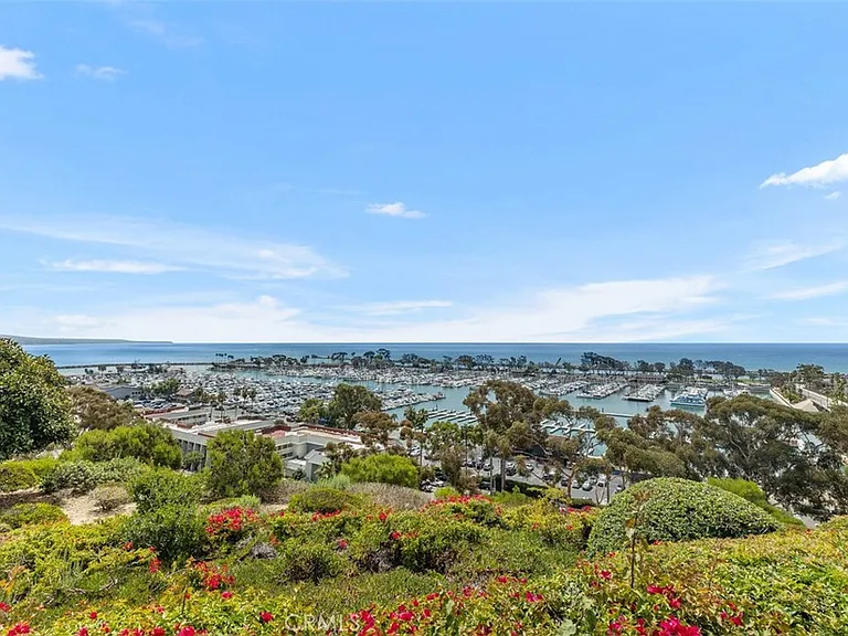 33782 Robles Dr — Photo 70