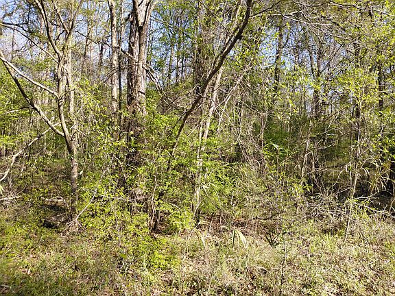 5th image of 2 & 3 Gator Cv