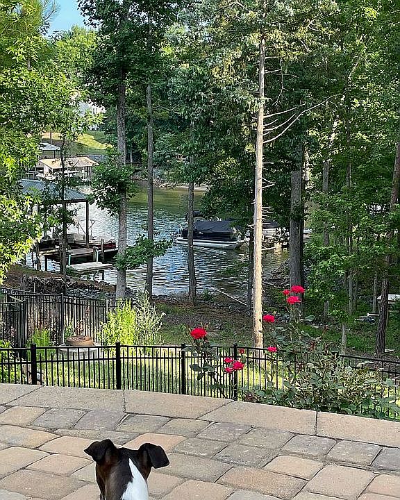 Lake Wylie