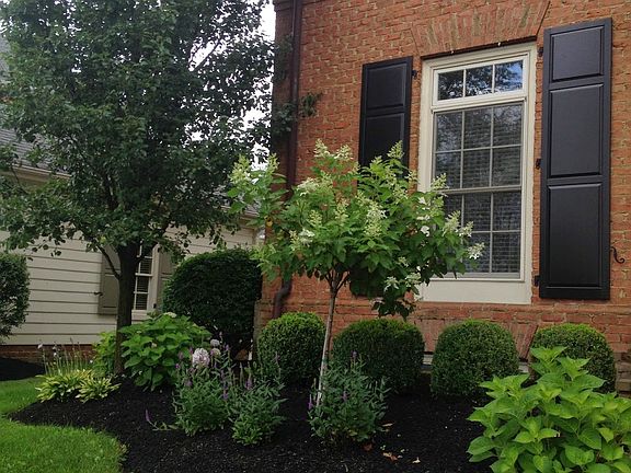 2nd image of 7684 Ogden Woods Blvd