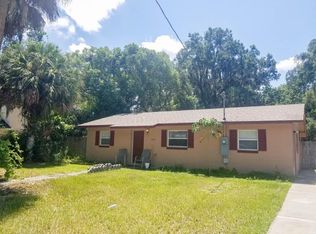 925 Fearon Ave, Mount Dora, FL 32757