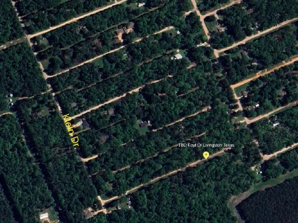 Foyt Dr, Livingston, TX 77351