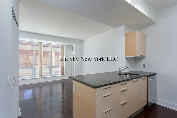 Rented by Blu Sky New York LLC | media 26