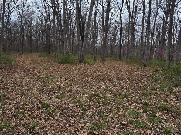 Battle Ln, Syracuse, MO 65354