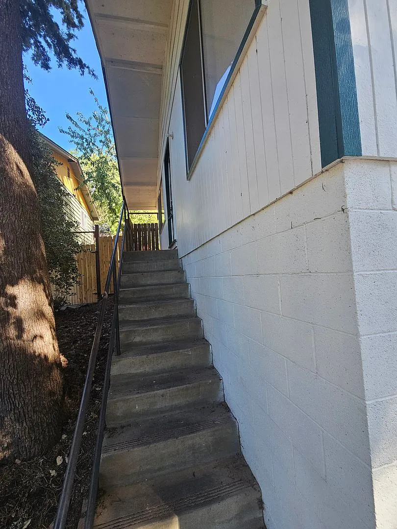 Great Find In Jacksonville — Photo 3