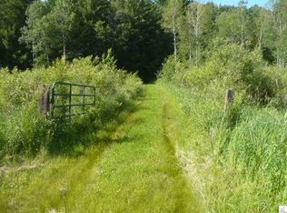 Xxx Canary Rd, Pine City, MN 55063