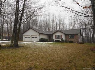 54 Mountain View Dr, Arcade, NY 14009
