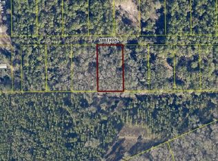 LOT 61 188th Pl, Live Oak, FL 32060