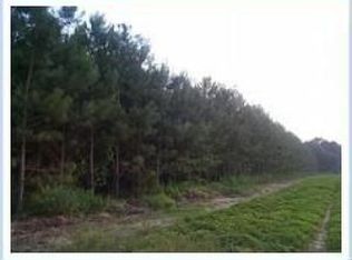 4138 Cliff Rd, Graceville, FL 32440