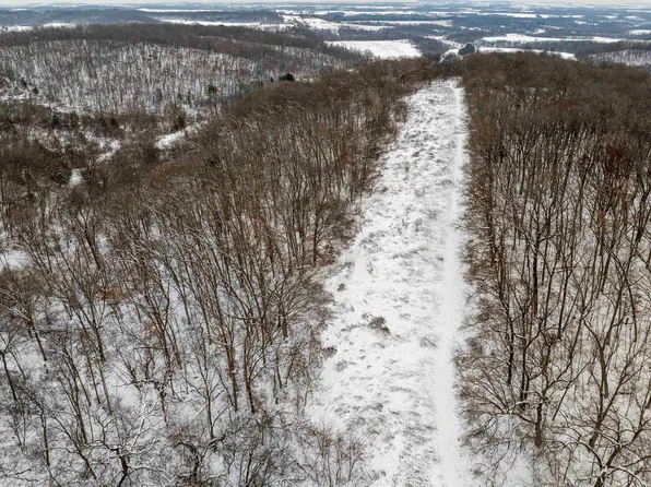 0 N Elizabeth Scales Mound Rd, Elizabeth, IL 61028