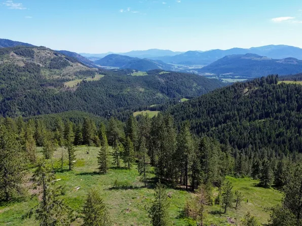 1-2&3 Randall Rd, Colville, WA 99114