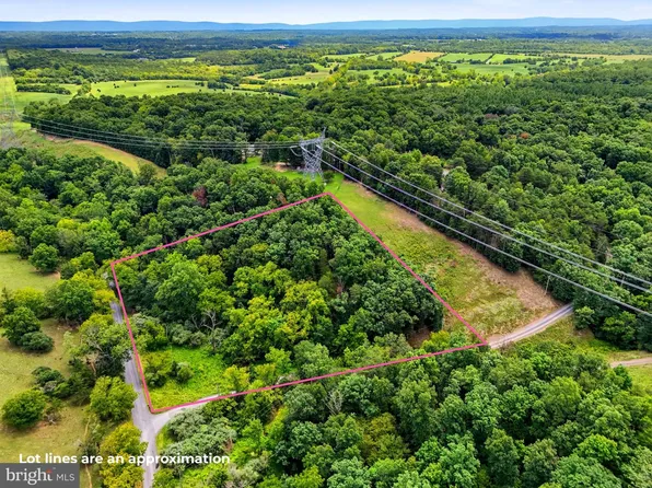 Forgotten Ln, Clear Brook, VA 22624