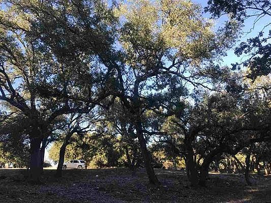 1st image of 205 Deer Hollow Dr