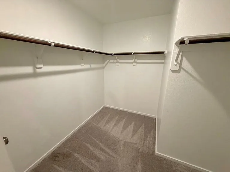 3056 Ash Ray Dr — Photo 20