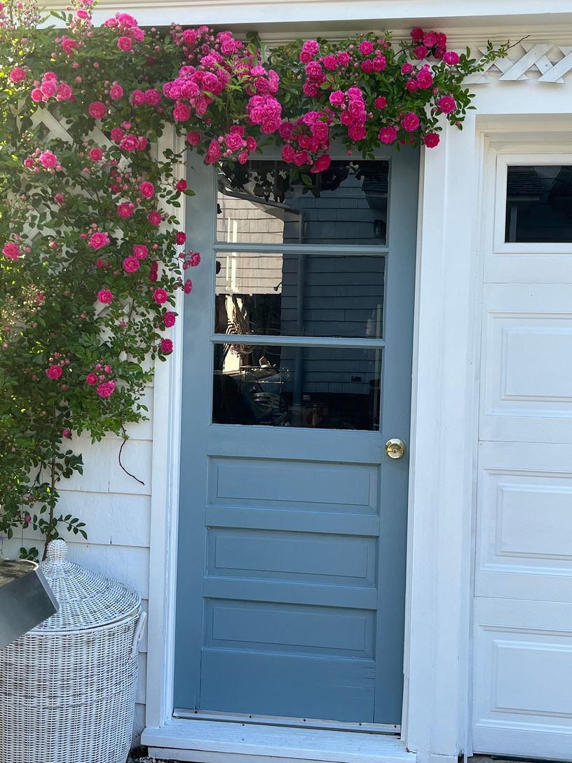 Cascading roses on garage