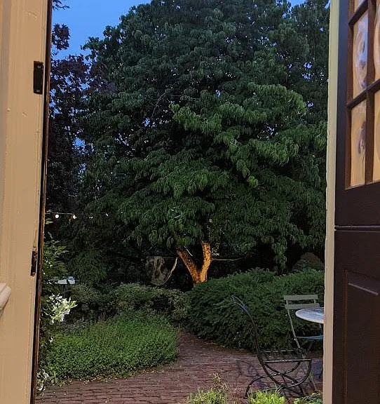 Exit to back yard