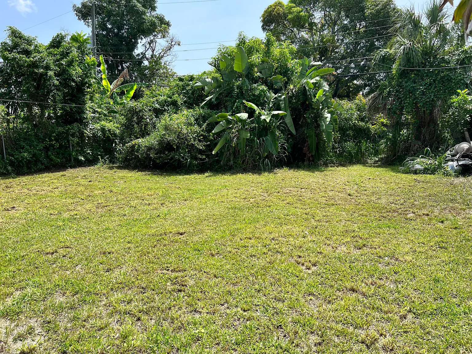 3 bed, 2.0 bath, 1050 sqft, $2,700 — Photo 2