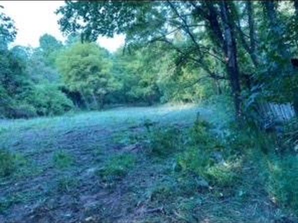 Veterans Rd, Tannersville, VA 24377